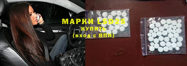хмурый Абаза