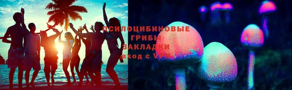 apvp Ростов