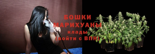 сатива Рославль