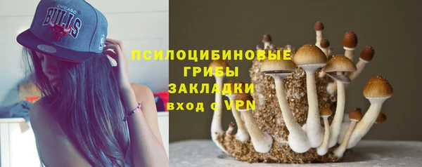 дурь Абинск