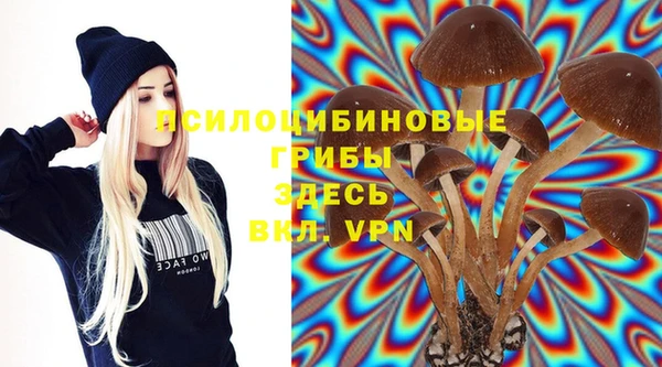 дурь Абинск