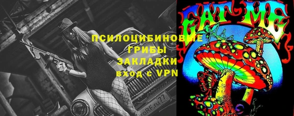 дурь Абинск