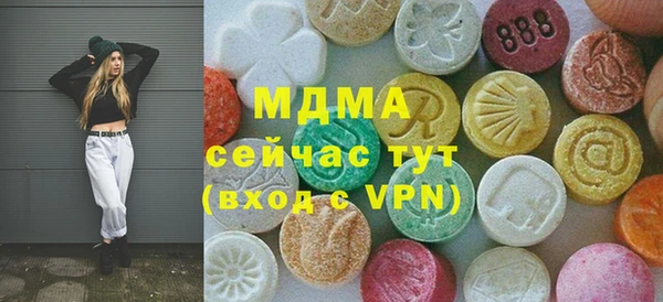 хмурый Абаза