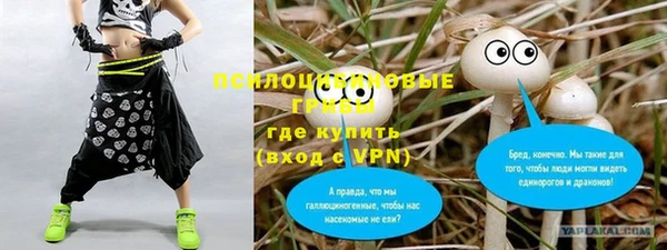 хмурый Абаза