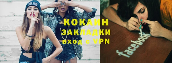 сатива Рославль