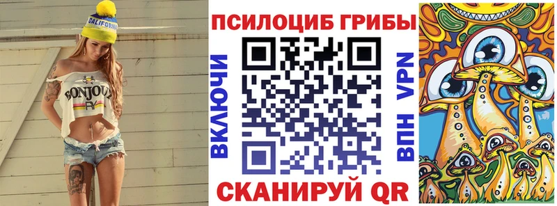 Псилоцибиновые грибы GOLDEN TEACHER  Оренбург 