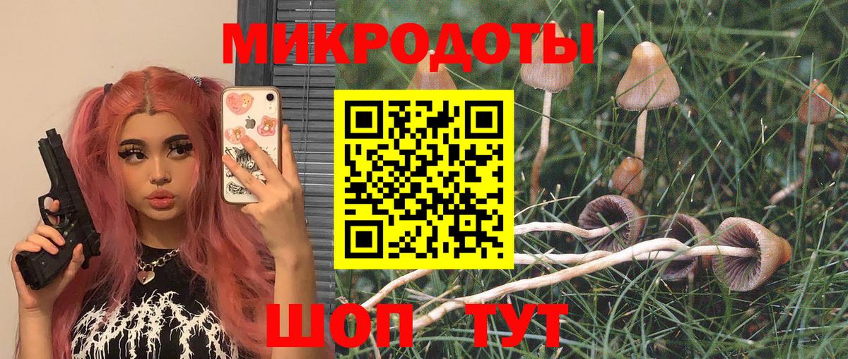Галлюциногенные грибы MAGIC MUSHROOMS Оренбург