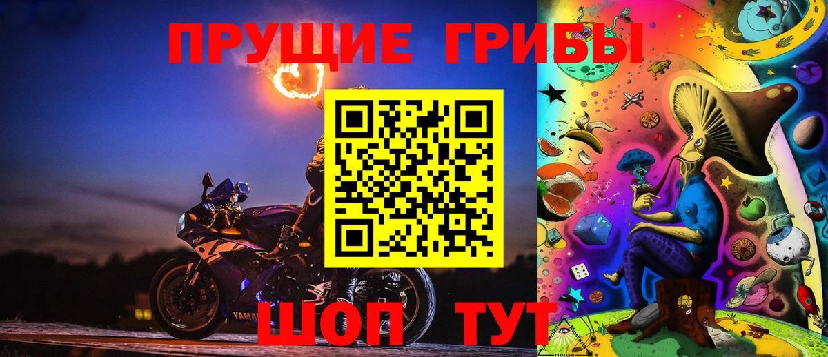 Псилоцибиновые грибы GOLDEN TEACHER  Вход с VPN  Оренбург  Галлюциногенные грибы Psilocybe 