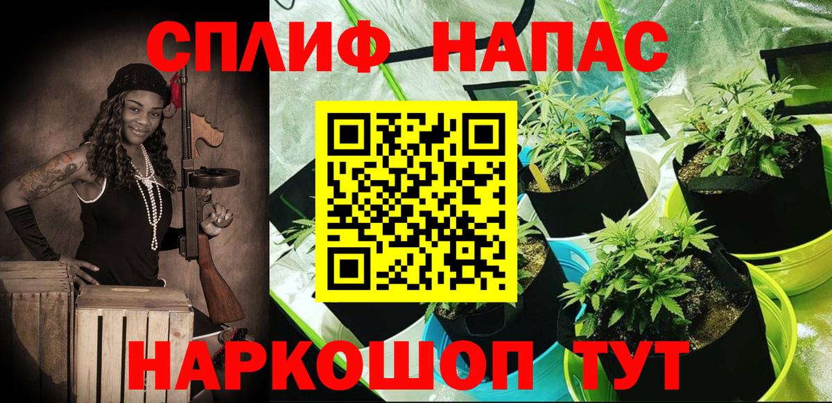 Оренбург  Канабис гибрид  Канабис семена  Вход с VPN 